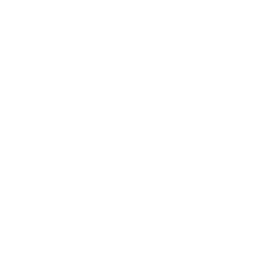 feature-item-2